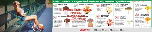 PSILOCYBIN Новокубанск