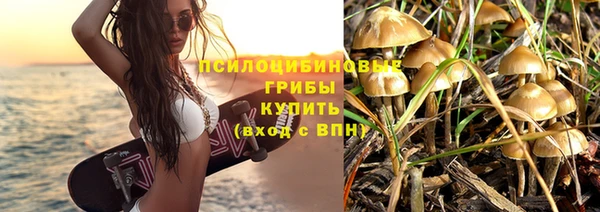 PSILOCYBIN Новокубанск